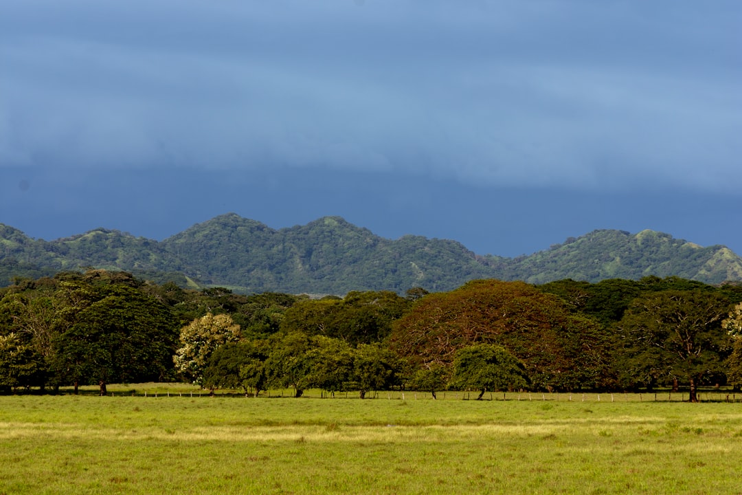Four Seasons Serengeti - 5 Noites
